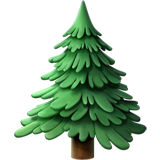 albero sempreverde (Animali e natura - Plant-Altro)