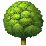 albero deciduo (Animali e natura - Plant-Altro)