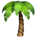 palmboom (Dieren en natuur - Plant-Andere)