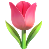 Tulip (Animals & Nature - Plant-Flower)