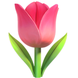 Tulpe (Tiere und Natur - Pflanze-Blume)