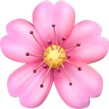 Cherry Blossom (Animals & Nature - Plant-Flower)