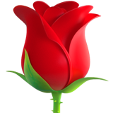 Rose (Animals & Nature - Plant-Flower)