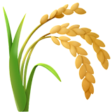 planta do arroz (Animais e Natureza - Plant-Other)