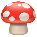 Mushroom (Food & Drink - Food-Vegetable)