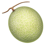 melon (Jedzenie picie - Owoce Å¼ywnoÅ›ci)