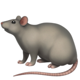 Rat (Animals & Nature - Animal-Mammal)