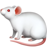 Mouse (Animals & Nature - Animal-Mammal)