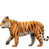 Tiger (Animals & Nature - Animal-Mammal)