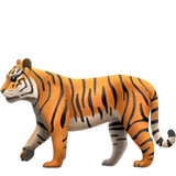 tigre (Animais e Natureza - Animal-MamÃ­fero)