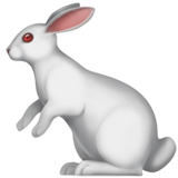 Rabbit (Animals & Nature - Animal-Mammal)