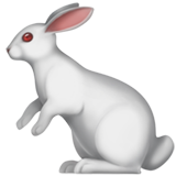 lapin (Animaux et Nature - Animal-MammifÃ¨re)