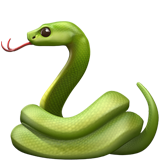 Snake (Animals & Nature - Animal-Reptile)