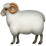 ram (Dieren en natuur - Animal-Zoogdier)