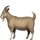 Goat (Animals & Nature - Animal-Mammal)