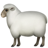 Ewe (Animals & Nature - Animal-Mammal)