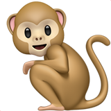 Monkey (Animals & Nature - Animal-Mammal)