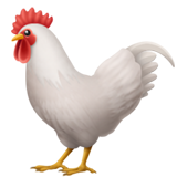 Rooster (Animals & Nature - Animal-Bird)