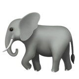 olifant (Dieren en natuur - Animal-Zoogdier)