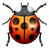 coccinella (Animali e natura - Animal-Bug)