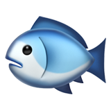 Fish (Animals & Nature - Animal-Marine)