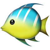 tropinė žuvis (Gyvūnai ir gamta - Gyvūnas - jūrų)