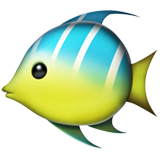 poisson tropical (Animaux et Nature - Animal-Marine)