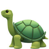 schildpad (Dieren en natuur - Animal-Reptile)