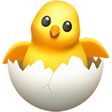 Hatching Chick (Animals & Nature - Animal-Bird)