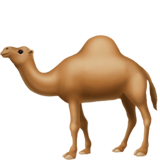 Camel (Animals & Nature - Animal-Mammal)