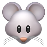 tête de souris (Animaux et Nature - Animal-MammifÃ¨re)