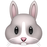 Rabbit Face (Animals & Nature - Animal-Mammal)