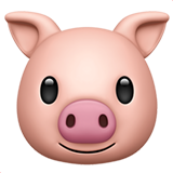 Schweinegesicht (Tiere und Natur - Tier-SÃ¤ugetier)