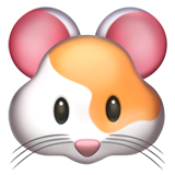 Hamster Face (Animals & Nature - Animal-Mammal)
