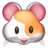 muka hamster (Haiwan & Alam - Haiwan-Mamalia)