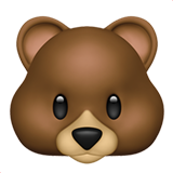 Bear Face (Animals & Nature - Animal-Mammal)