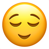 🔂 Botão De Repetir Uma Única Faixa Emoji