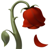 Wilted Flower (Animals & Nature - Plant-Flower)