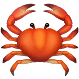Crab (Animals & Nature - Animal-Marine)