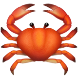 krab (Dieren en natuur - Animal-Marine)