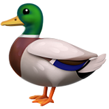 Duck (Animals & Nature - Animal-Bird)