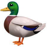 canard (Animaux et Nature - Animal-Bird)