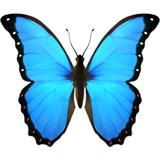 vlinder (Dieren en natuur - Animal-Bug)