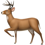 cerf (Animaux et Nature - Animal-MammifÃ¨re)