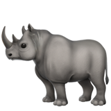 Nashorn (Tiere und Natur - Tier-SÃ¤ugetier)