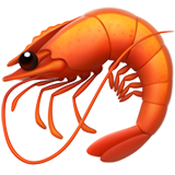 Shrimp (Animals & Nature - Animal-Marine)