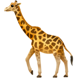 Giraffe (Animals & Nature - Animal-Mammal)