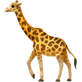 giraffa (Animali e natura - Animal-Mammifero)