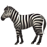 Zebra (Animals & Nature - Animal-Mammal)