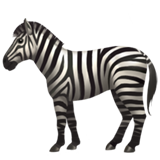 zebra (Djur och natur - Animal-DÃ¤ggdjur)